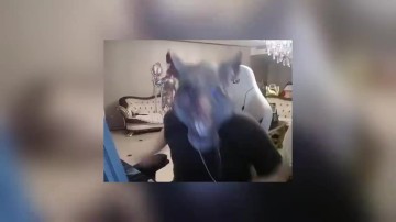 j9九游会官方登录姿态做情商测试题花20块钱看报告:这钱一付感觉我智力是真有问题